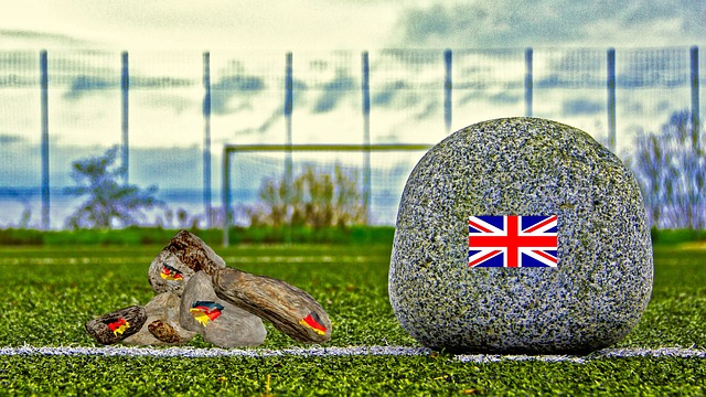 将明星效应 将明星效应