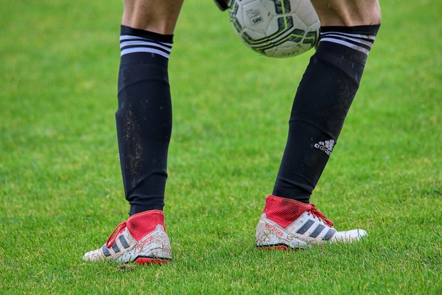 过努力拼搏 过努力拼搏