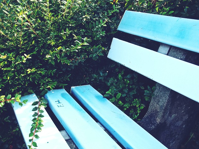 张而优雅的 张而优雅的