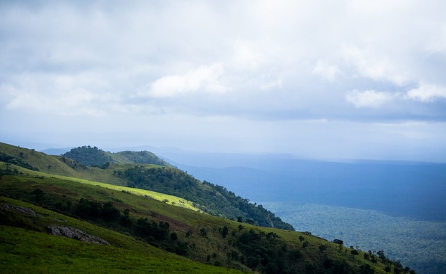這不僅增強 這不僅增強