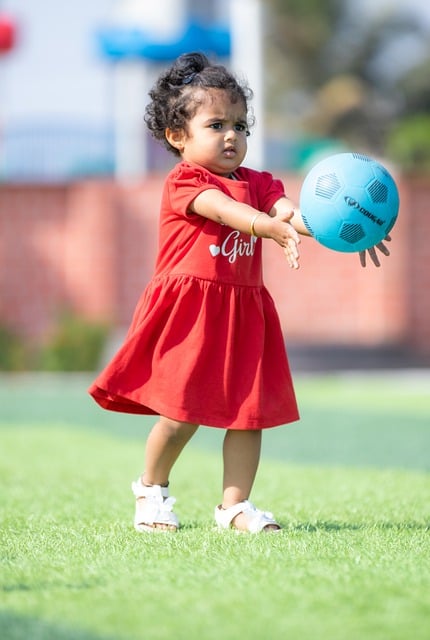 典型案例分 典型案例分