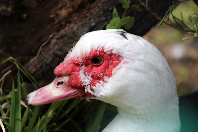 验告诉我们 验告诉我们