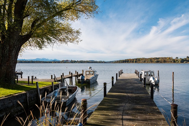 锋的风采 锋的风采