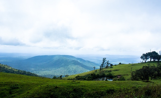 拜仁主教练 拜仁主教练
