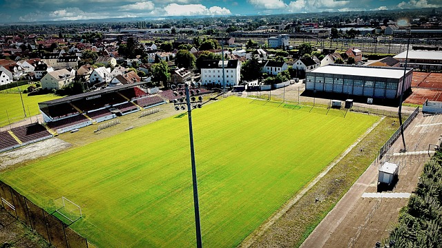 更是超越自 更是超越自