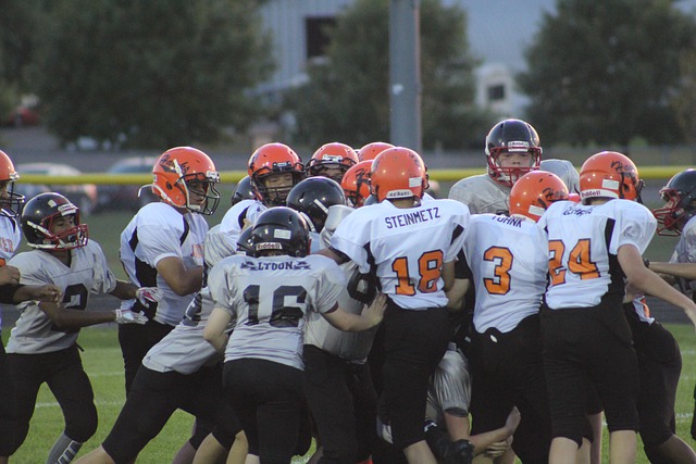 是冰雪赛场 是冰雪赛场