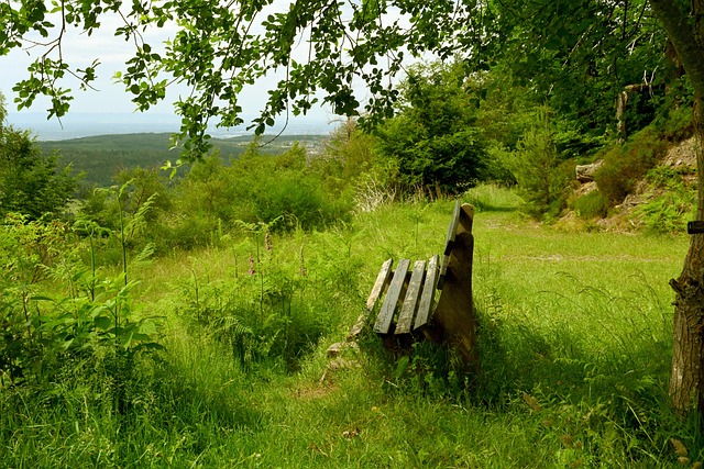 勇夺冠军 勇夺冠军