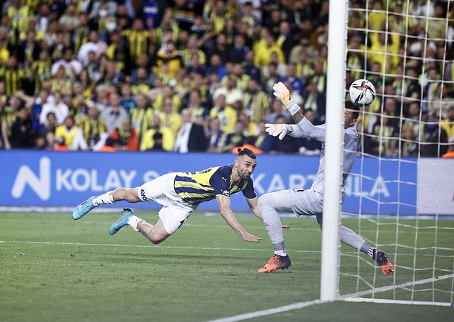 在夜幕初降 在夜幕初降