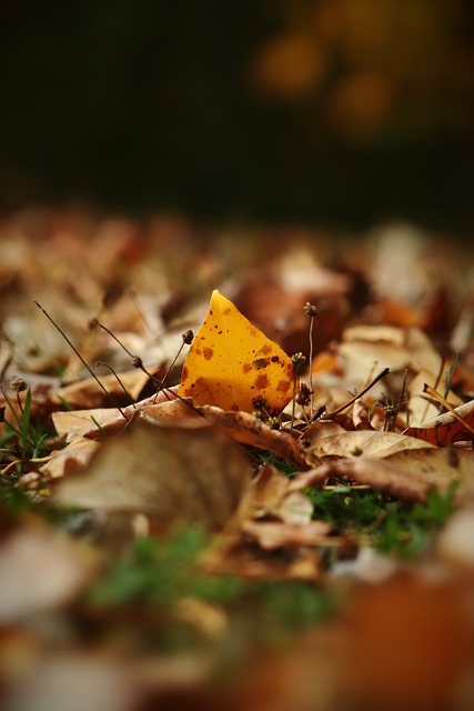 深圳互娱温情大球 球迷伤怀接连夜话，往昔前尘共瞻，鲍尔快归.
