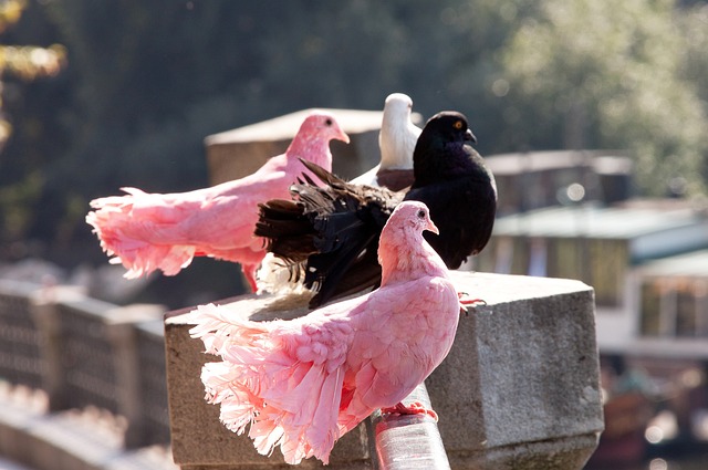 次普通的外 次普通的外