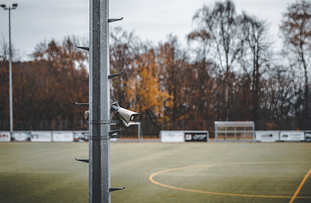 球迷欢欣鼓 球迷欢欣鼓