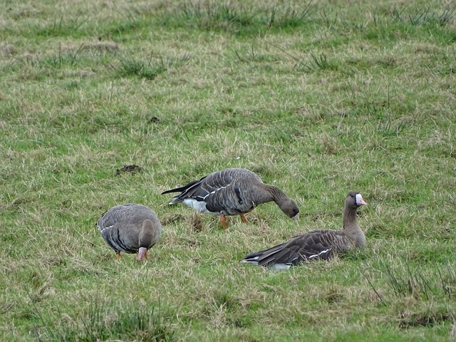 能在不远的 能在不远的